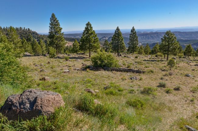 A large rock is in the middle of a grassy field with trees in the background.