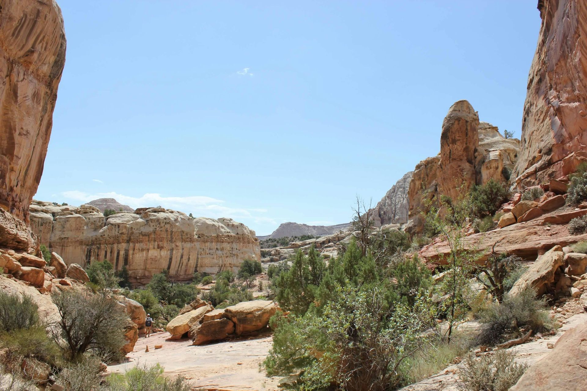 A canyon filled with rocks and trees on a sunny day.