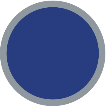 Physical Recreation Activity Badge