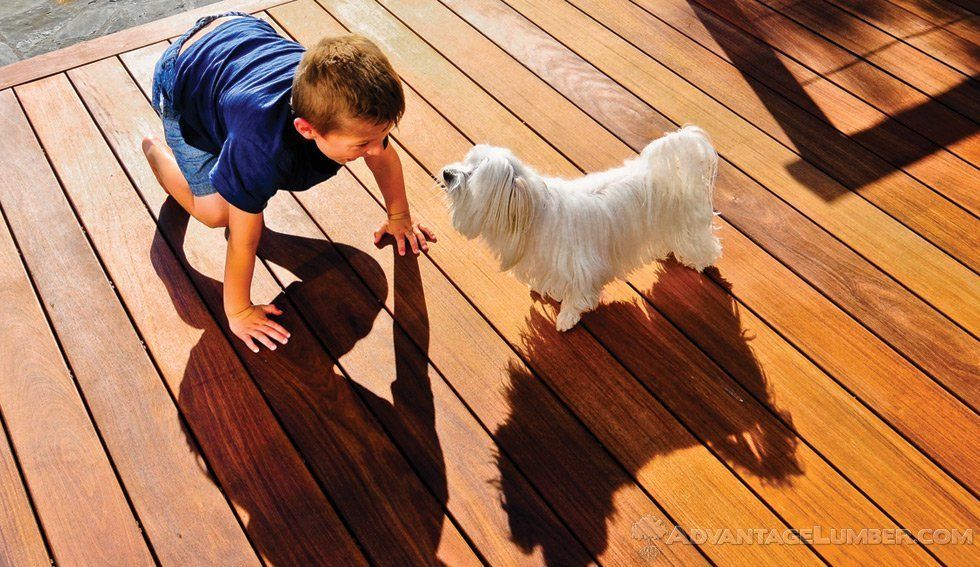 child playing with a dog on wood floor