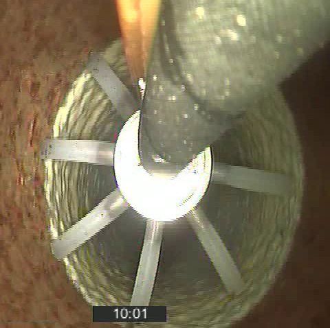 azienda di autospurghi