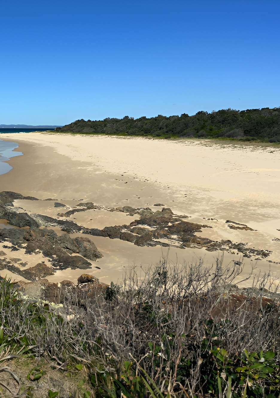 Sandy Beach With Rocks, Greenery, and Trees — Mid North Coast Drafting & Construction in Forster, NSW