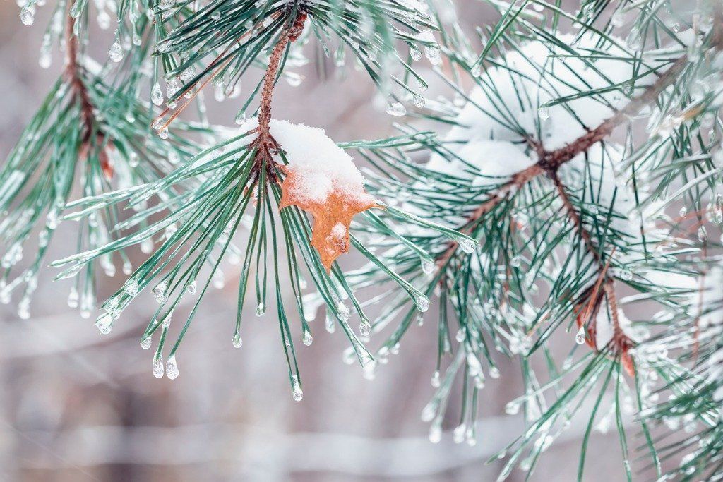 Picture of the beautiful Lake Superior shoreline at dusk