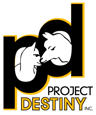 Project Destiny logo