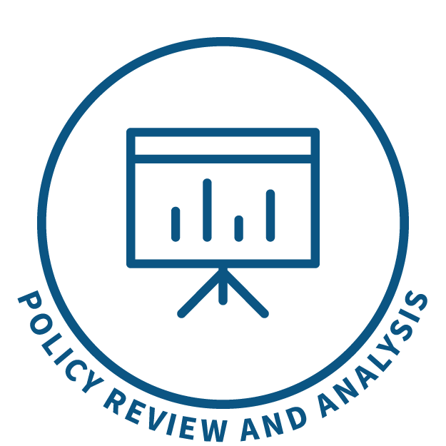 policy review and analysis icon