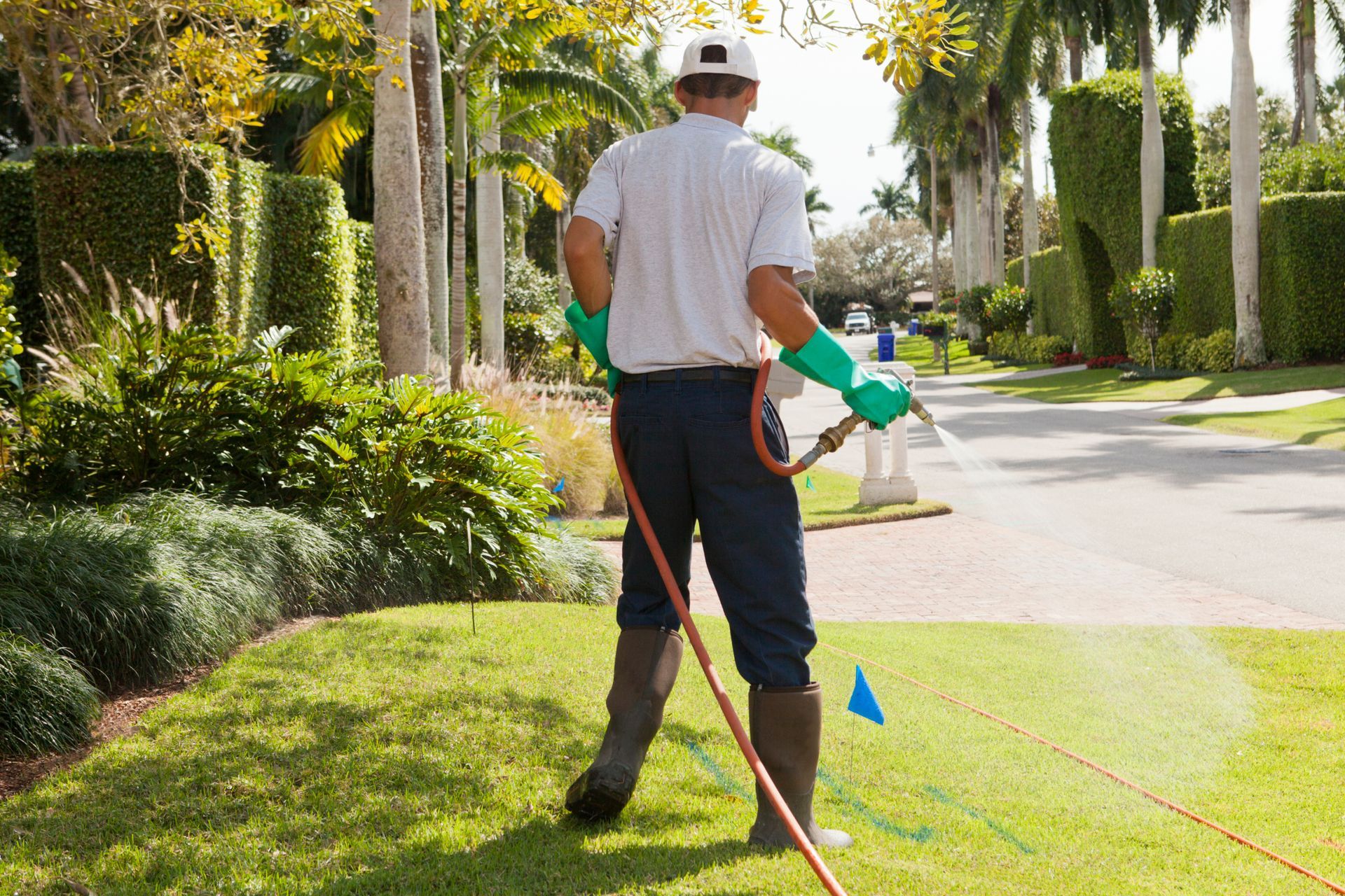 man spraying the lawn