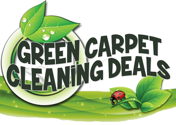 professional carpet cleaning, steam carpet cleaning