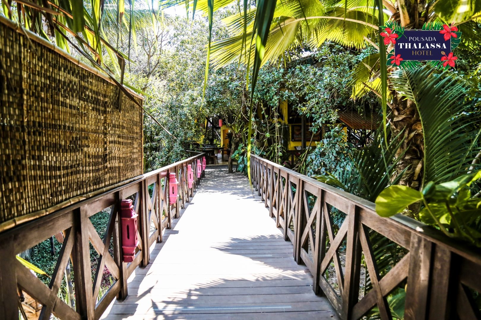 Uma ponte de madeira no meio de uma floresta verdejante.