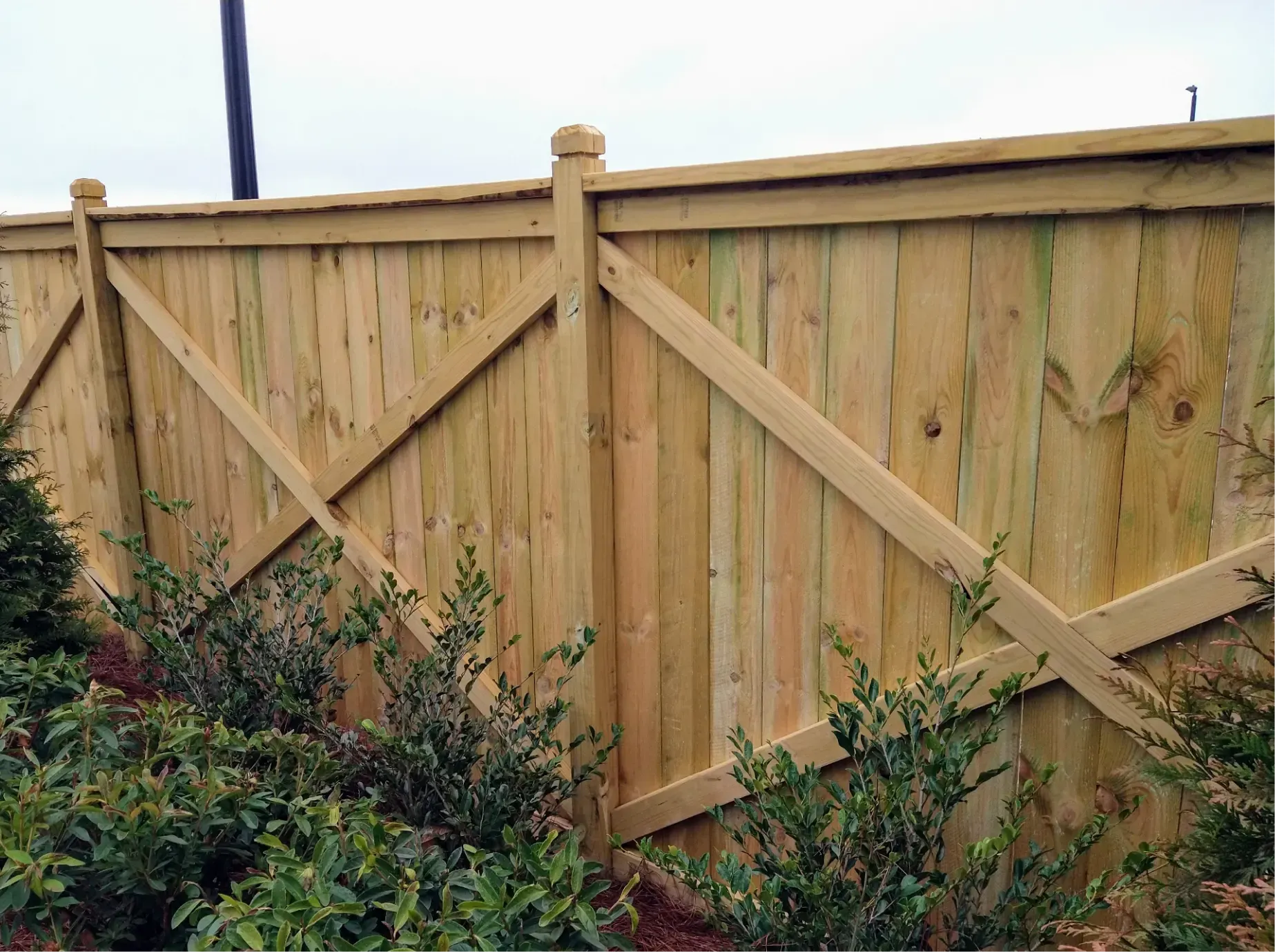 A new wooden privacy fence with diagonal decorative bracing, set outdoors with green shrubs in the foreground.