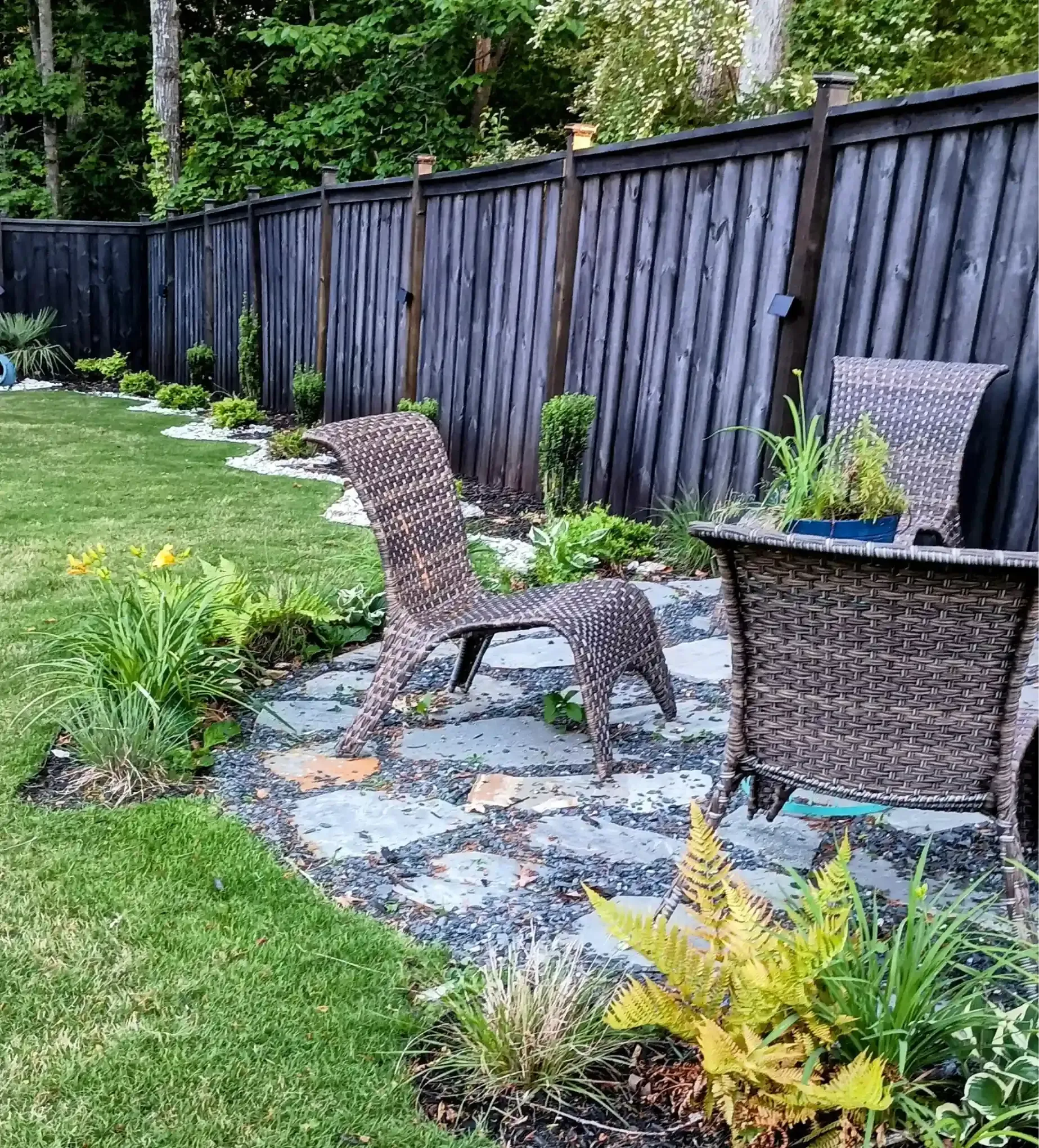 Two wicker chairs on a stone patio in a backyard with a dark wooden fence and green plants.