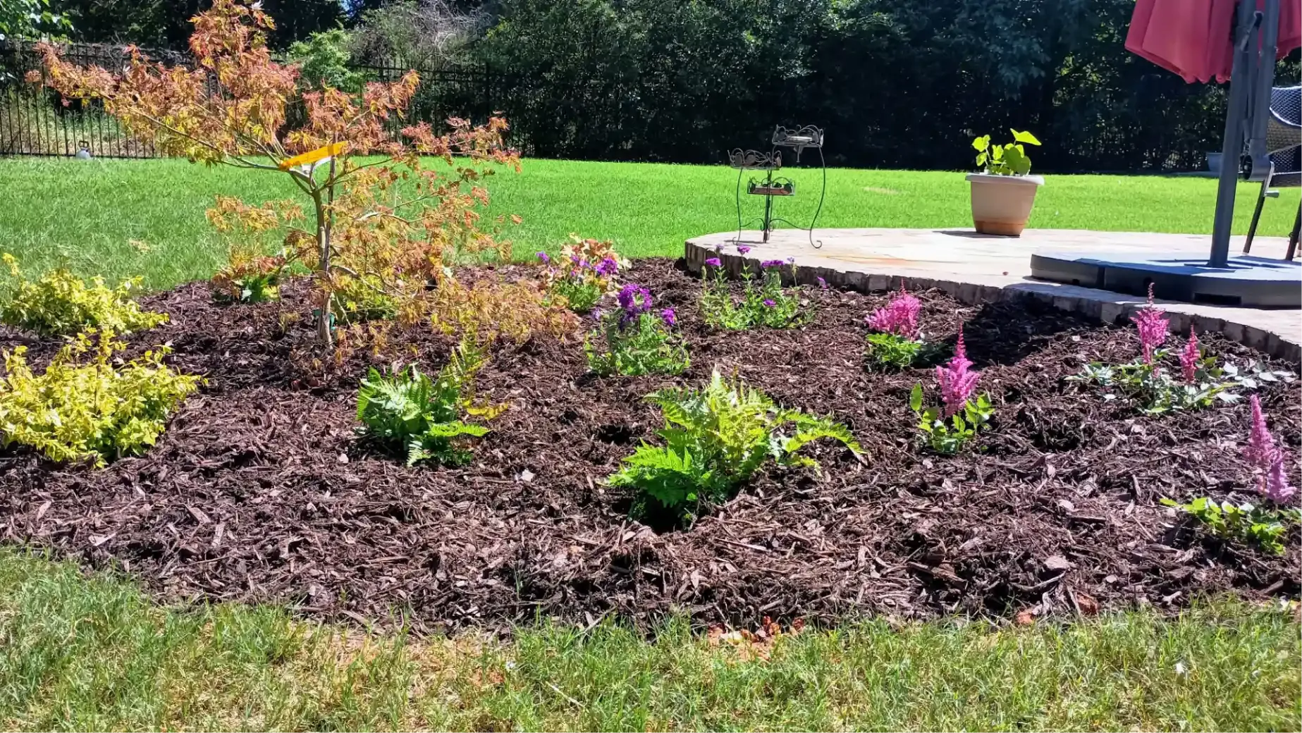 A mulched garden bed with a small ornamental tree, green shrubs, and pink flowers next to a paved patio and green lawn.