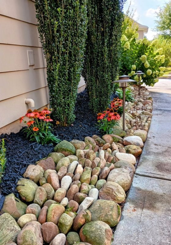 A landscaping bed along a house wall features tall, slender shrubs, orange coneflowers, and a border of river rocks.