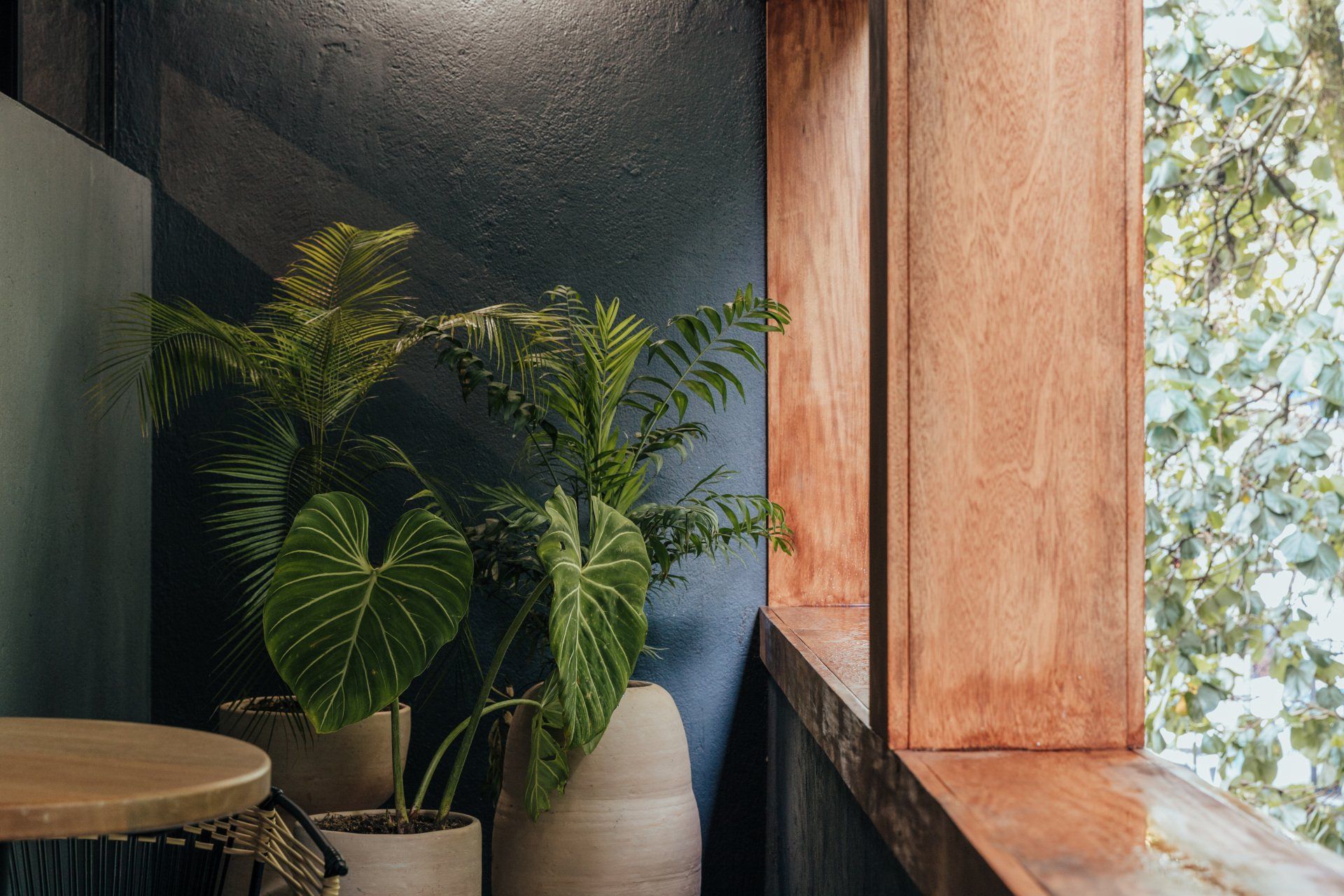Una habitación con una mesa y plantas en macetas junto a una ventana.