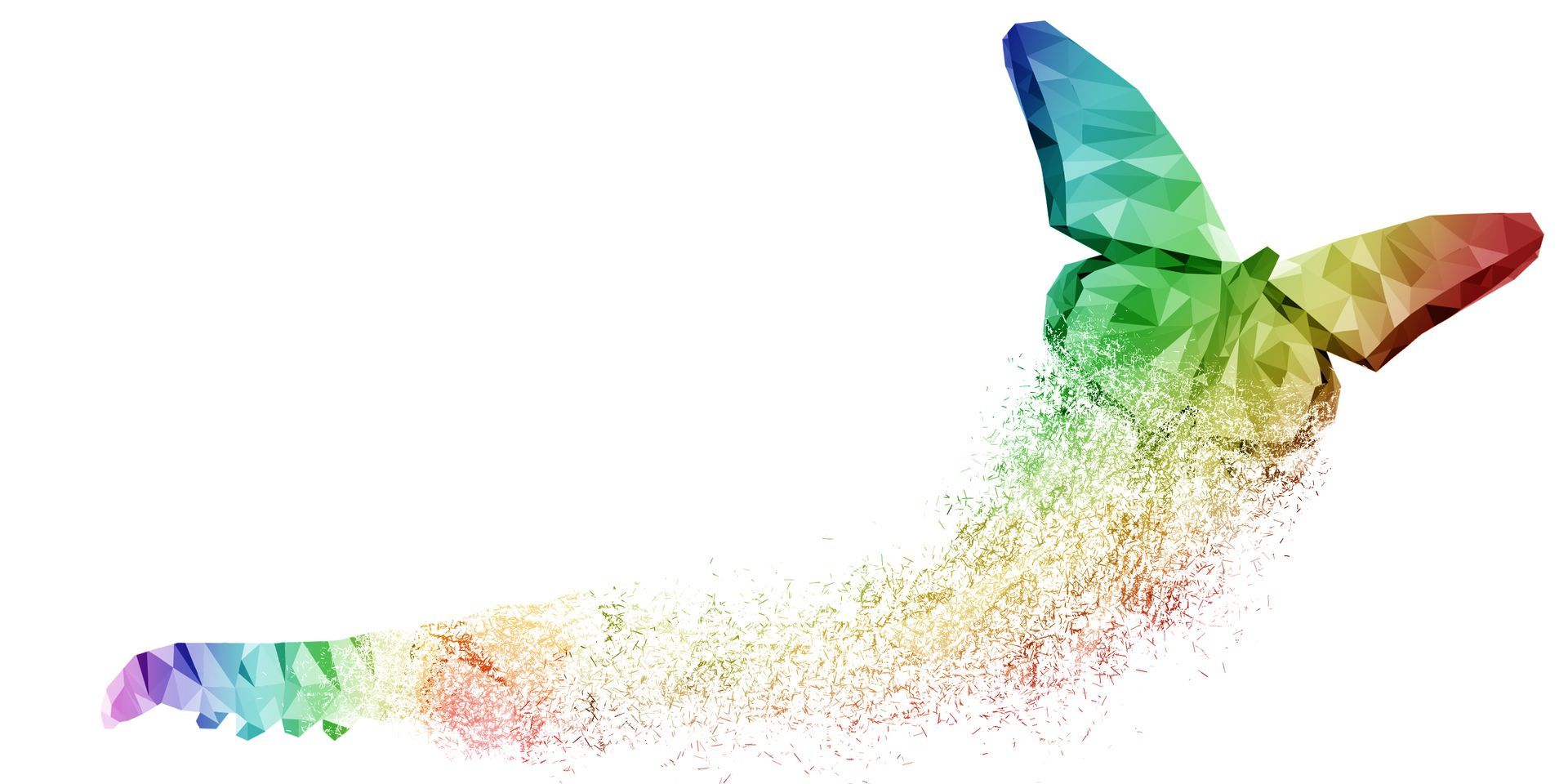 A rainbow butterfly is flying through the air on a white background.