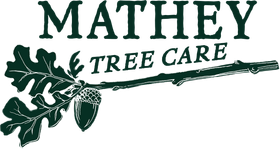 Mathey Tree Care and Consulting