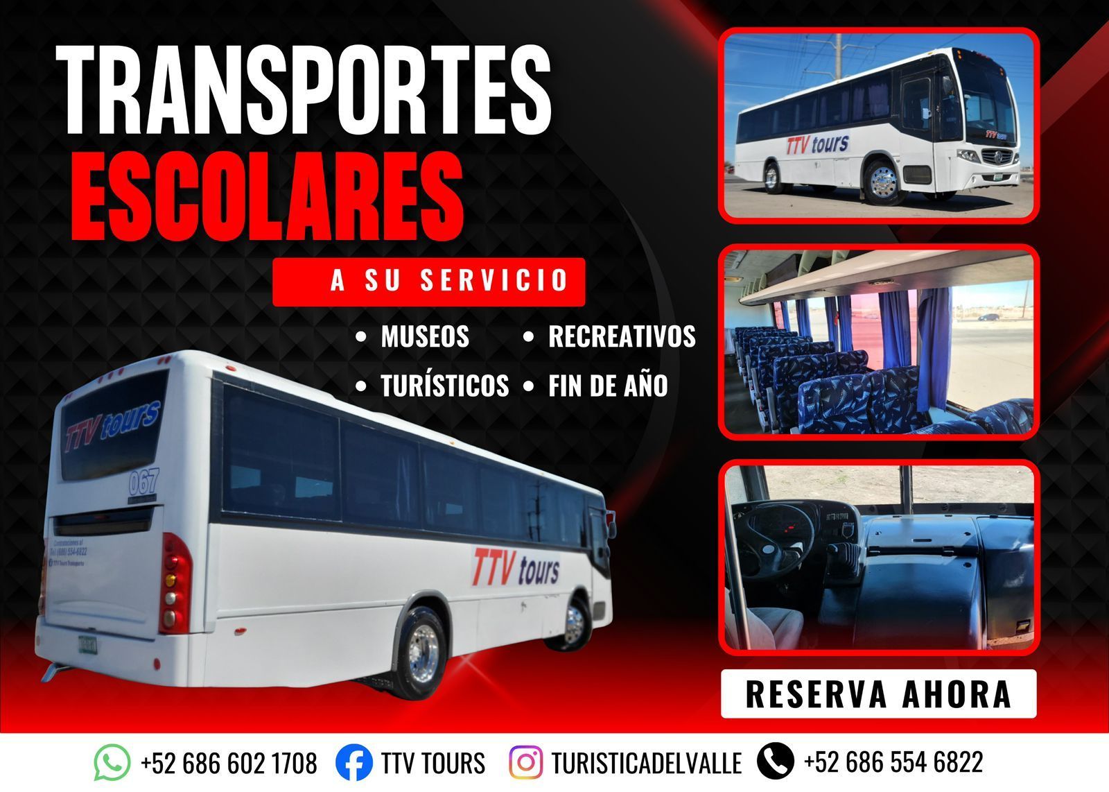 transportes escolares
