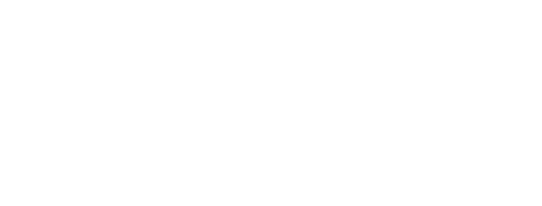 Body Wise Natural Therapy Center logo