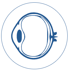 Bayside Eye Surgeon, Brisbane Australia Cataract