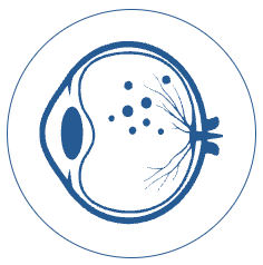 Bayside Eye Surgeon, Brisbane Australia Retinopathy