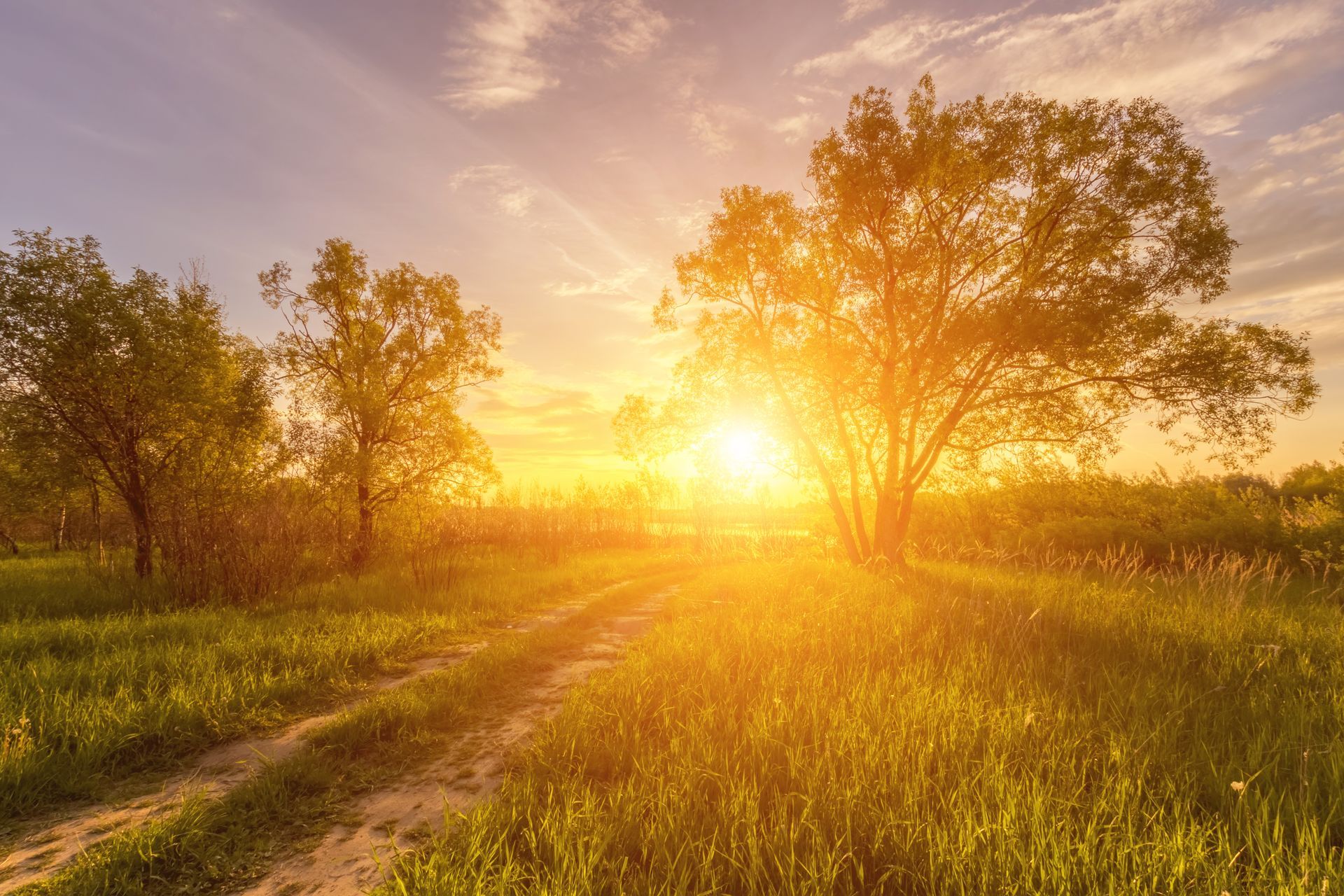 Dirt path through a grassy field towards a bright sunset, trees on either side.