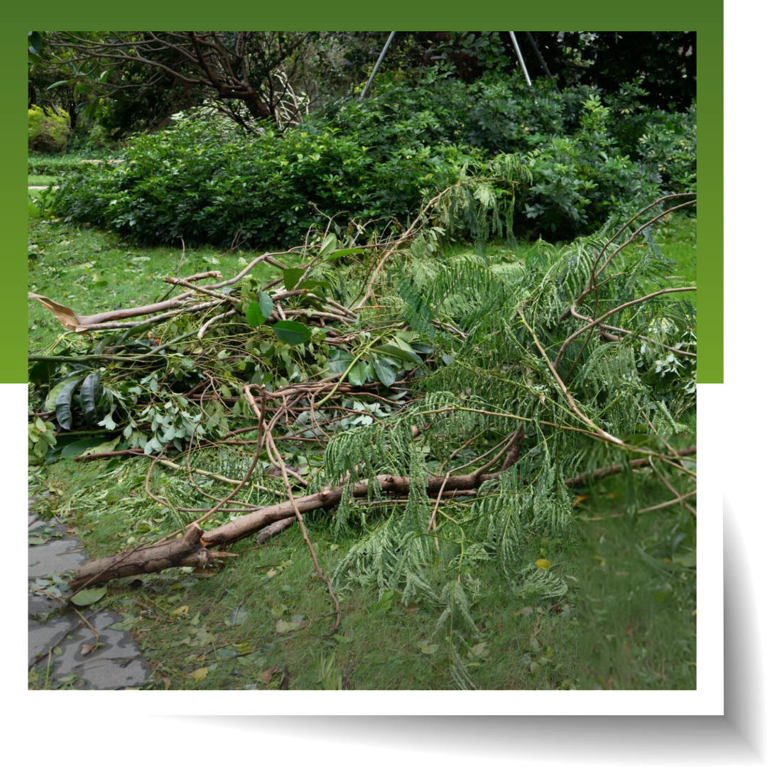 A pile of yard debris