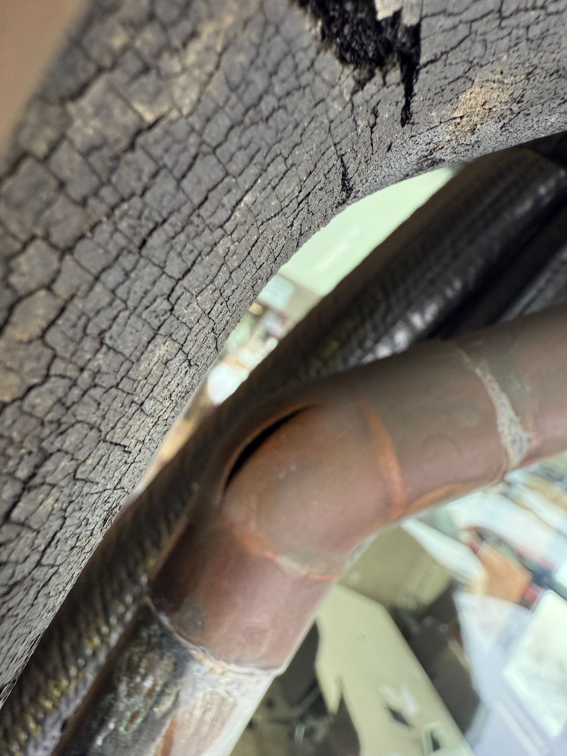 A close up of a snake 's mouth with a hole in it