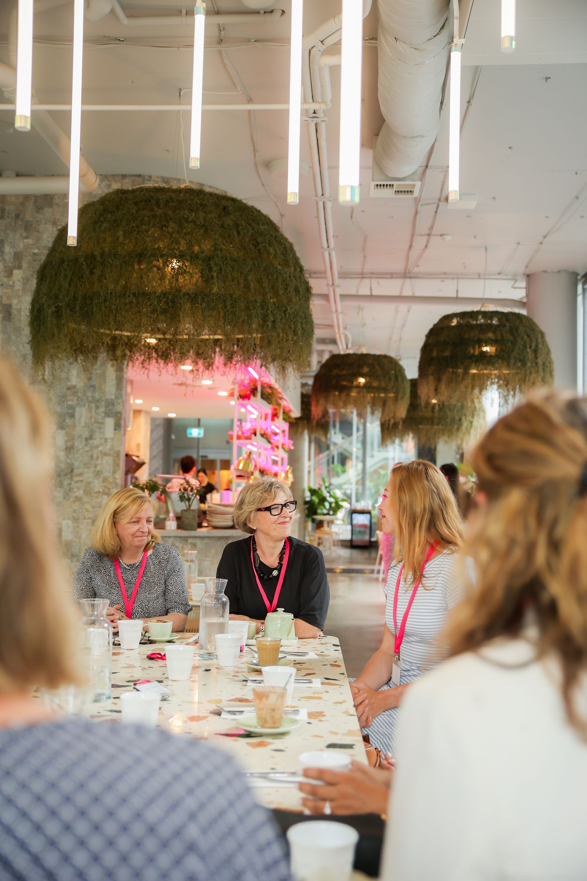 People at a table in a light-filled room with hanging greenery.