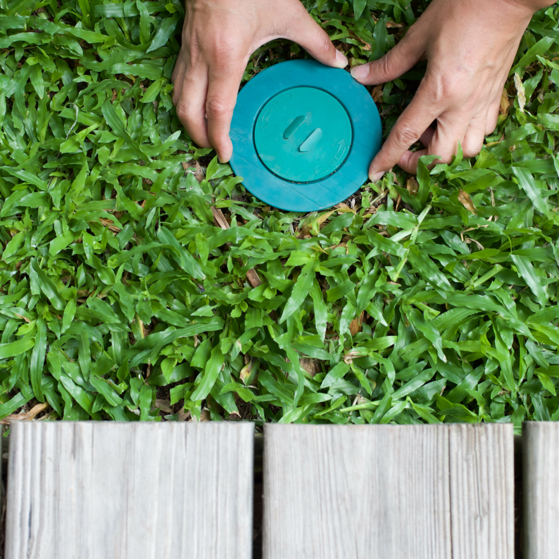 A person is holding a green termite bait station in the grass.