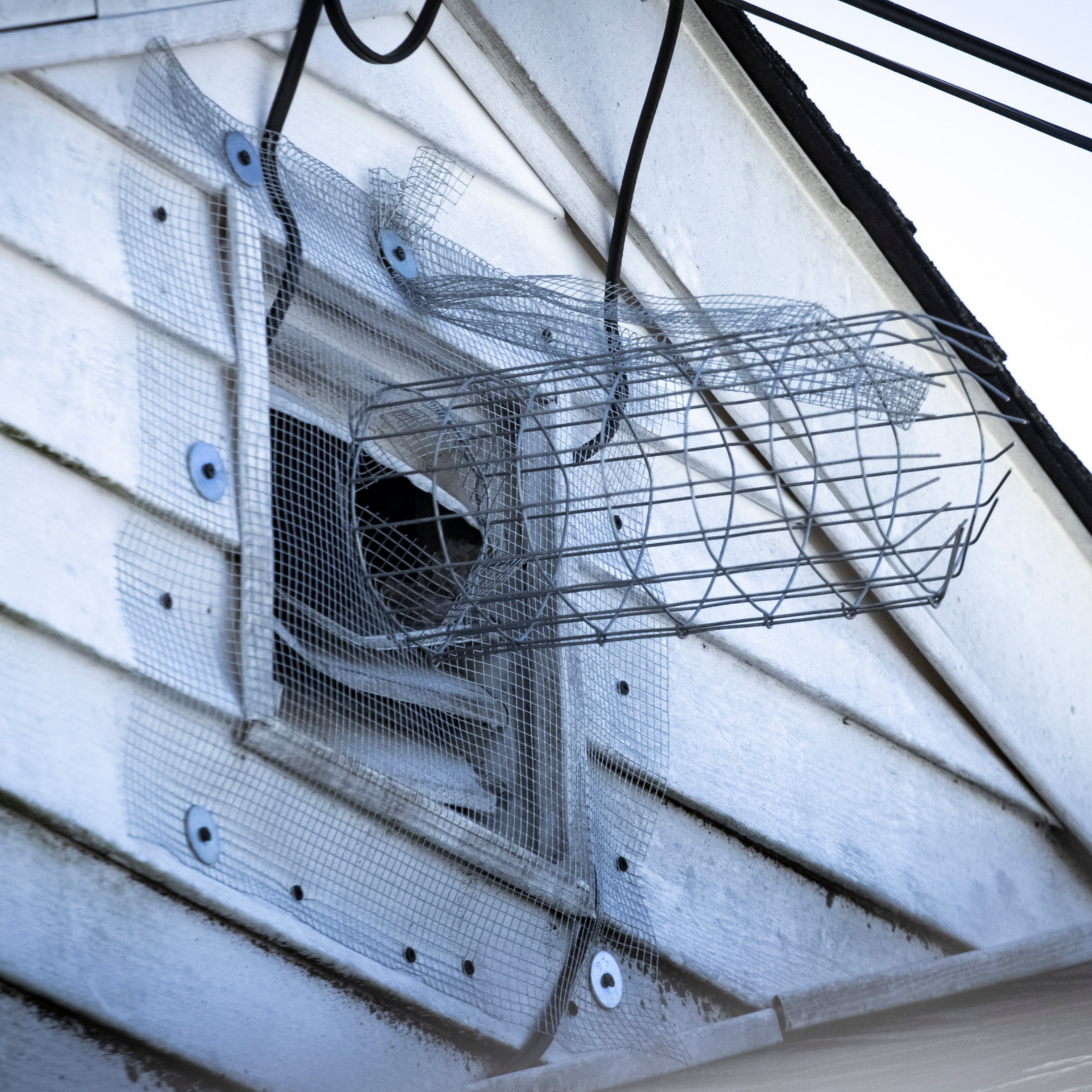 Exclusion Pest Control Services