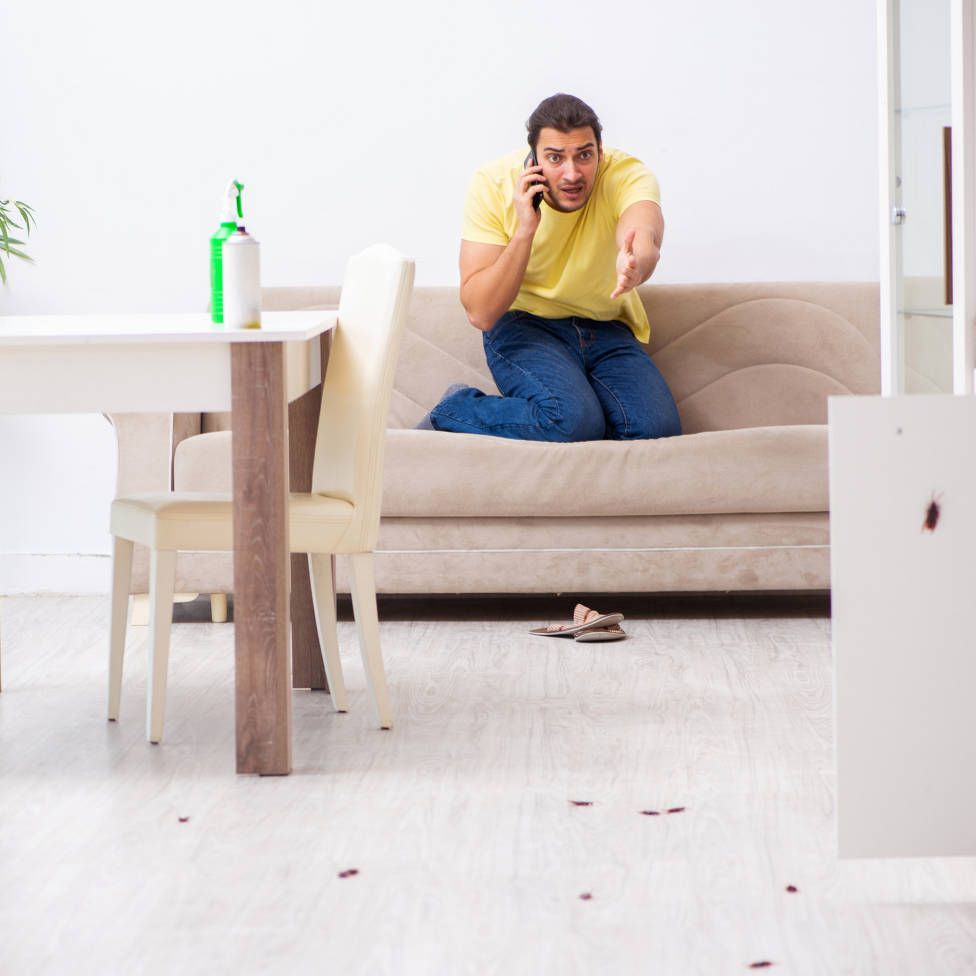 Emergency Pest Control Services