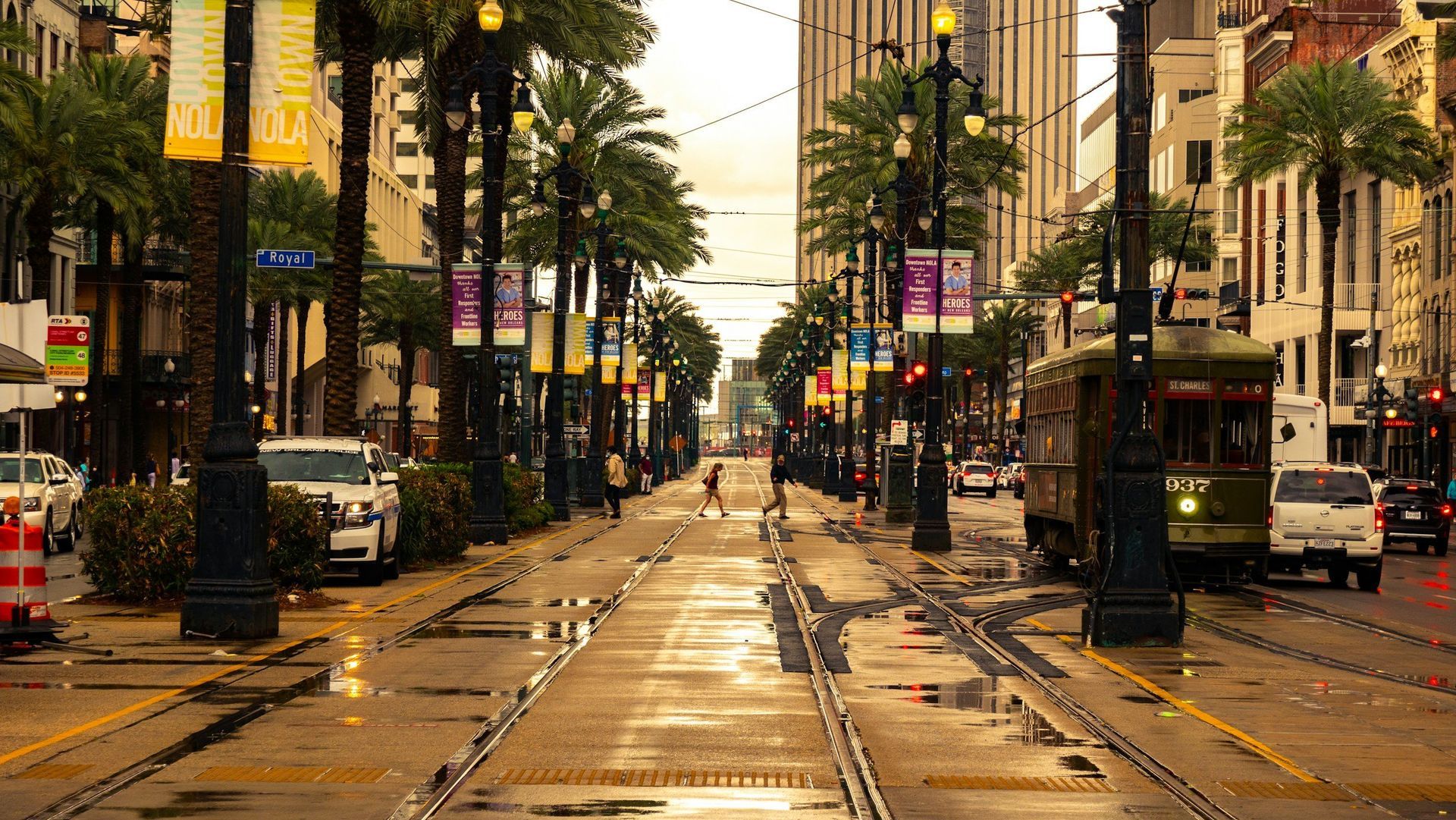 Street scene in New Orleans with a trolley, palm trees, and storefronts on a wet day.