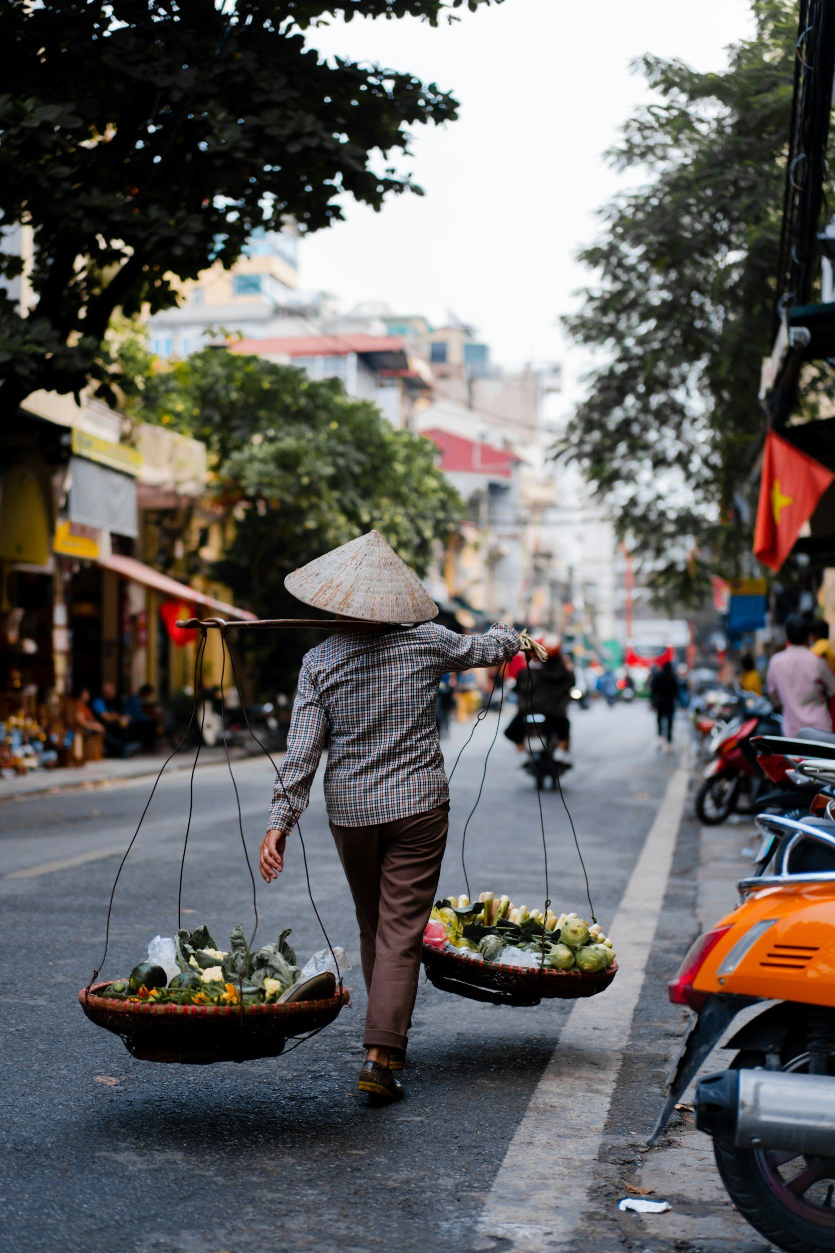 Person with conical hat carrying baskets of goods on a street in Vietnam.