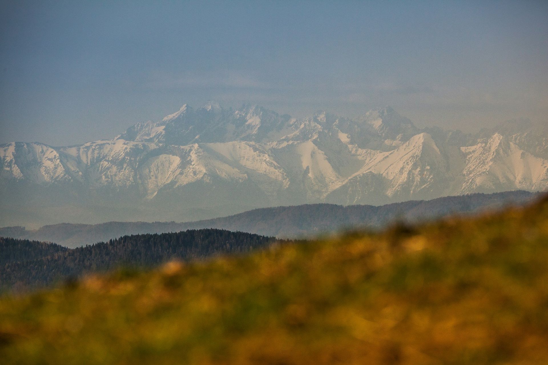 Snow-capped mountains in the distance, layered behind forested hills under a hazy blue sky.