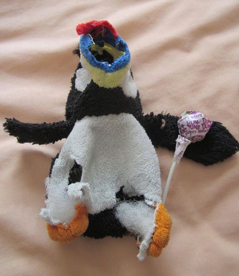 Completed Puffin Cuddlie after a dog bite