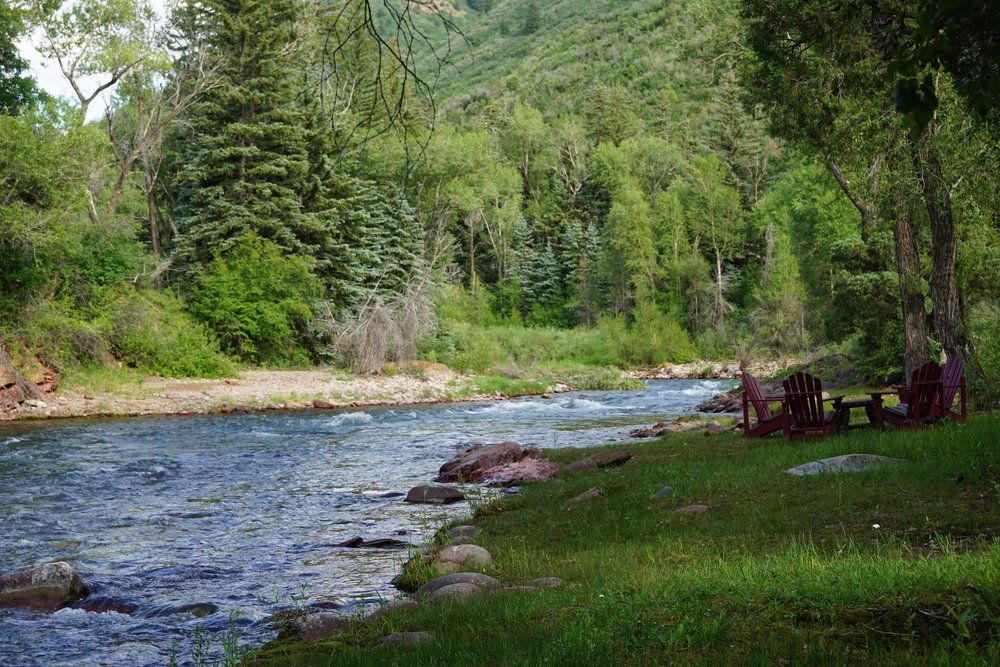 A river flowing through a lush green forest with chairs on the shore.