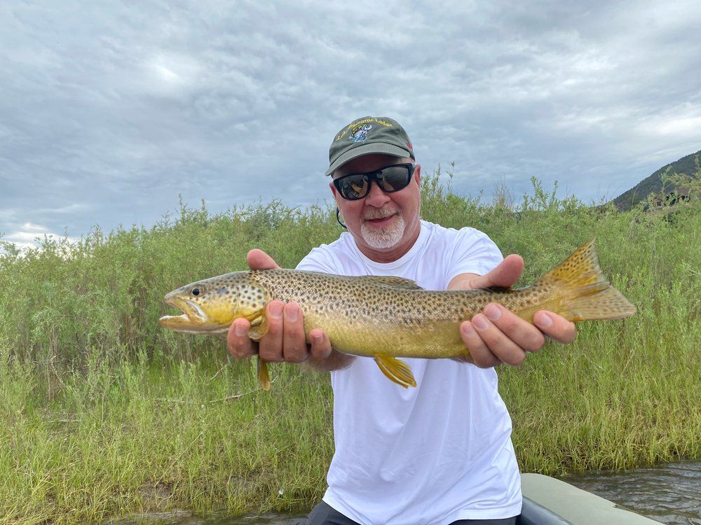 A man is holding a brown trout in his hands.