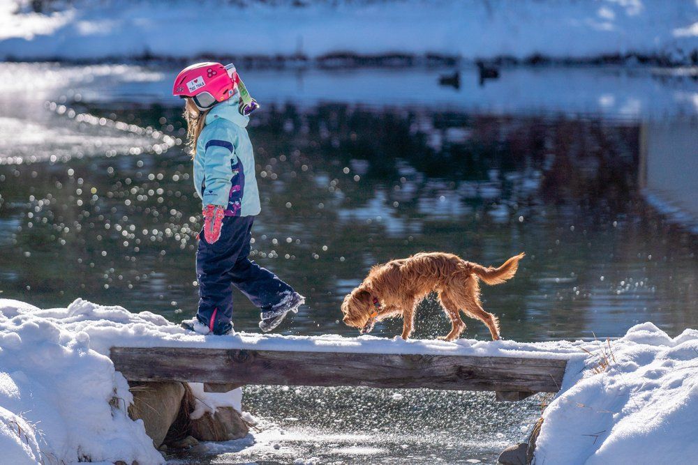 A little girl is crossing a bridge with her dog.
