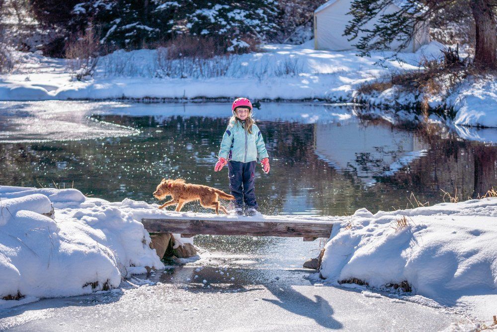 A little girl and her dog are crossing a bridge over a frozen lake.