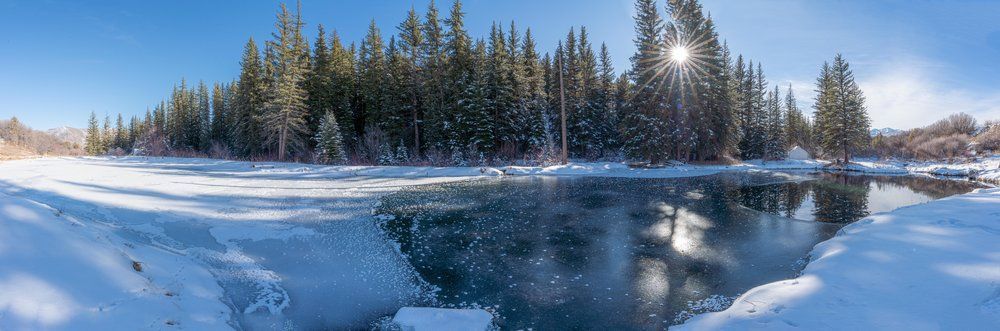 A frozen lake surrounded by snow covered trees on a sunny day.
