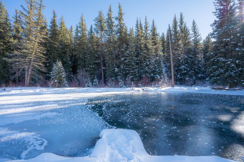 A frozen lake in the middle of a snowy forest.
