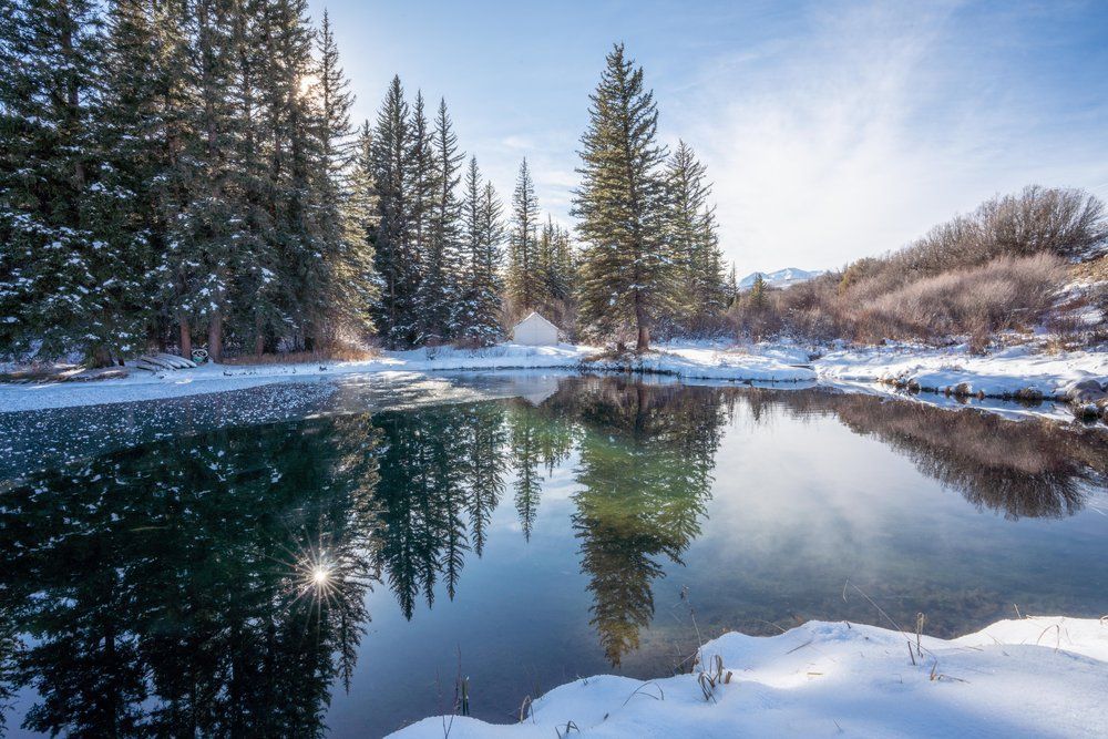 A lake surrounded by snow covered trees on a sunny day.