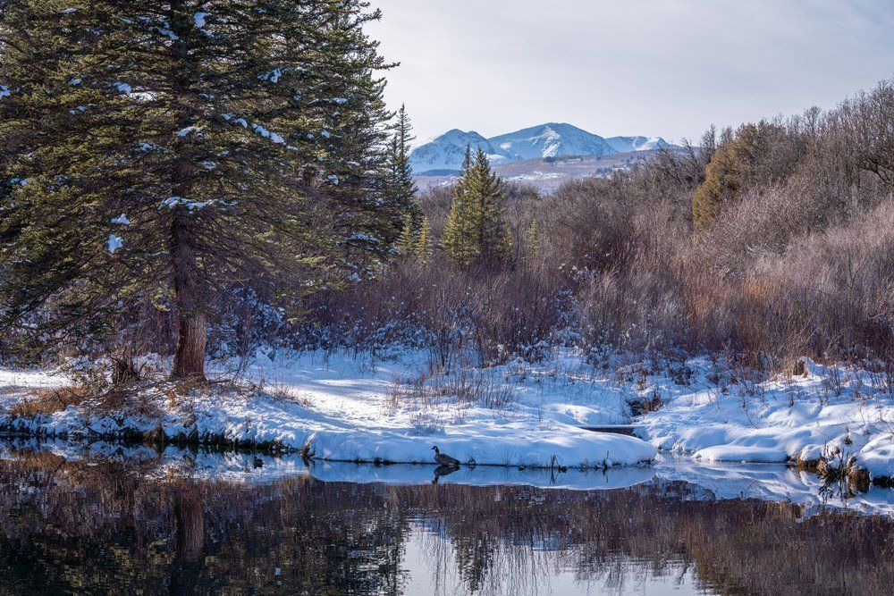 There is a lake in the middle of a snowy forest with mountains in the background.