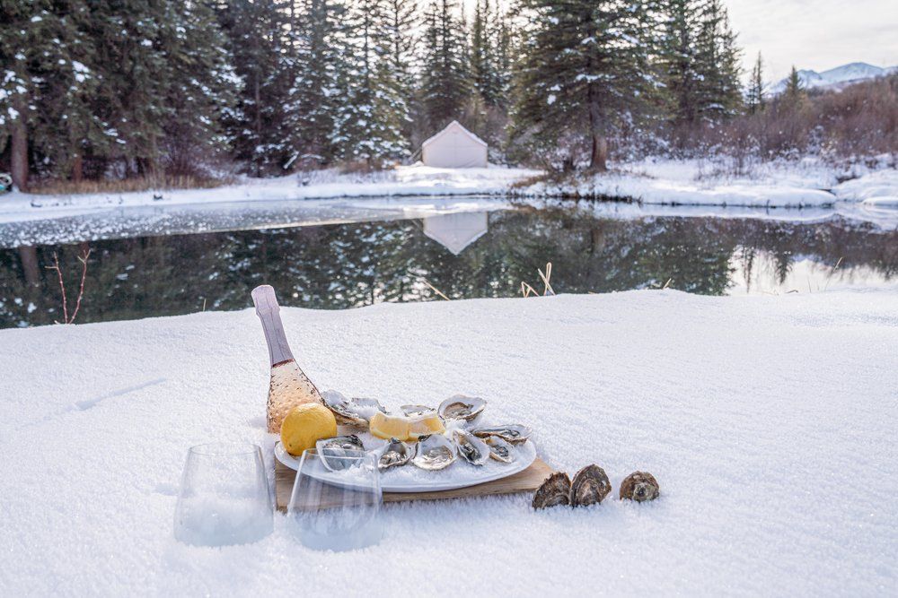 There is a plate of oysters and a bottle of champagne in the snow.