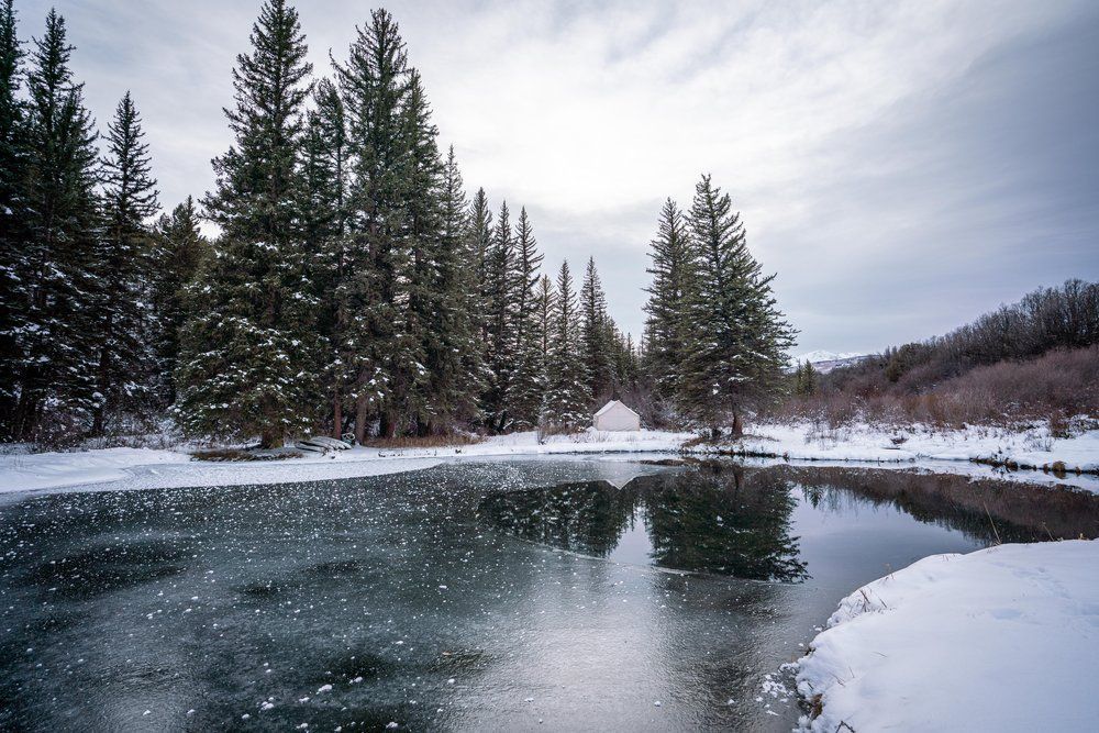 A frozen lake in the middle of a snowy forest