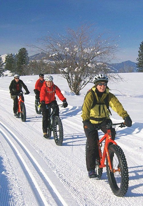 A group of people are riding bikes in the snow