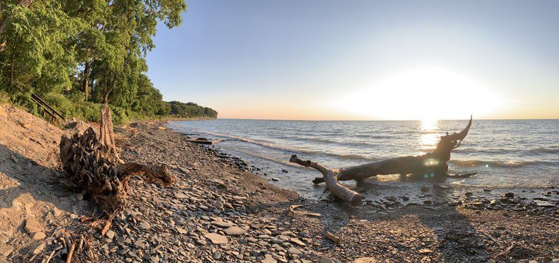 Landscape Along Shoreline