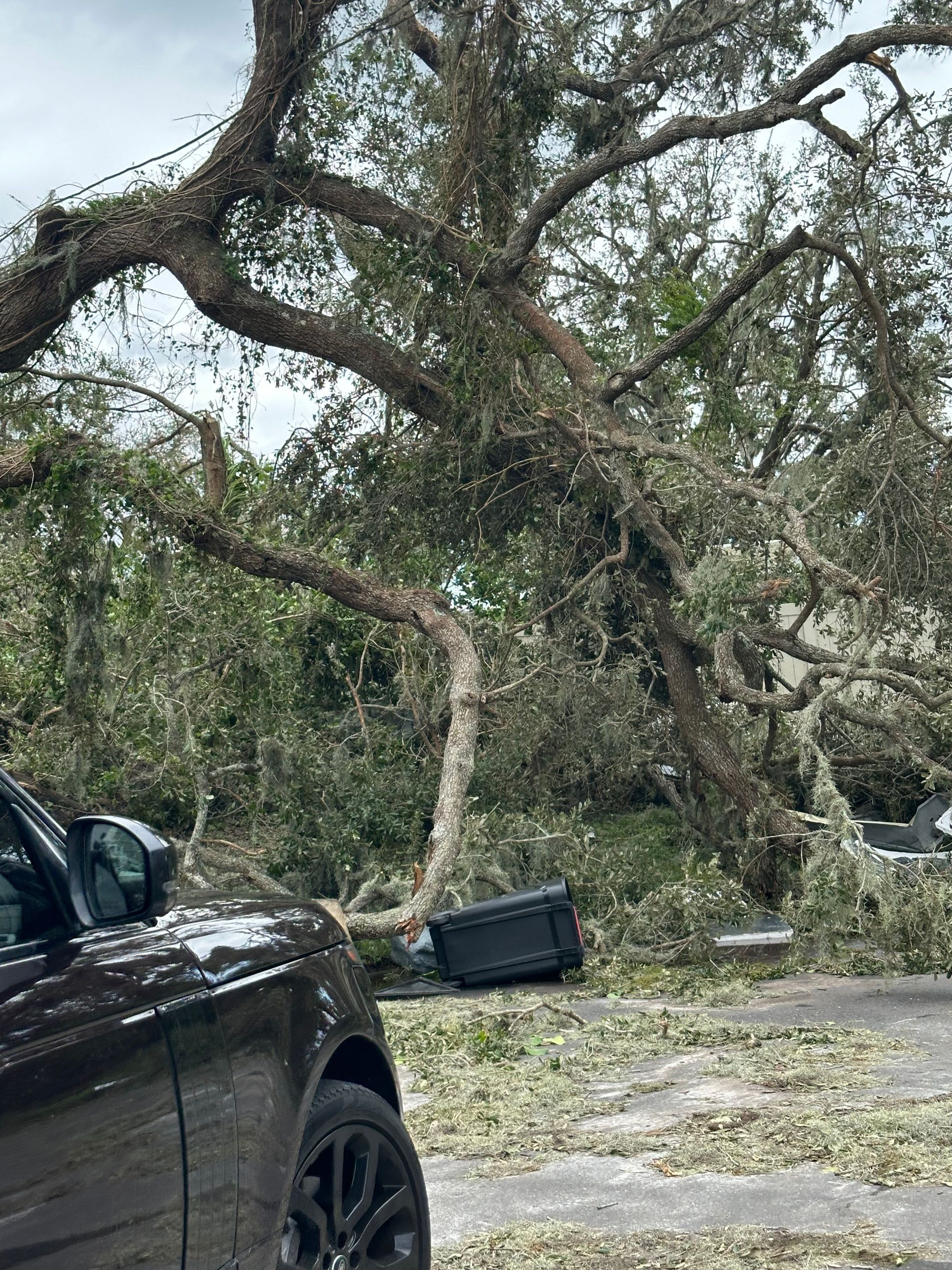 A car is parked in front of a fallen tree.
