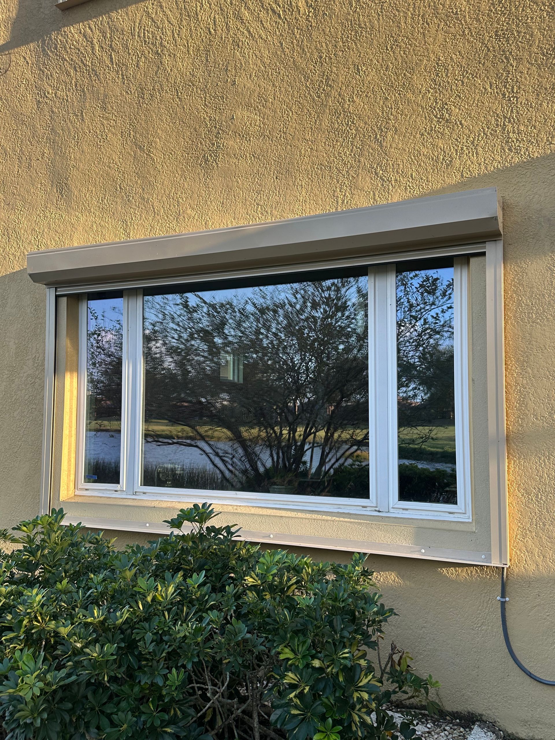 A large window on the side of a building with a bush in front of it.