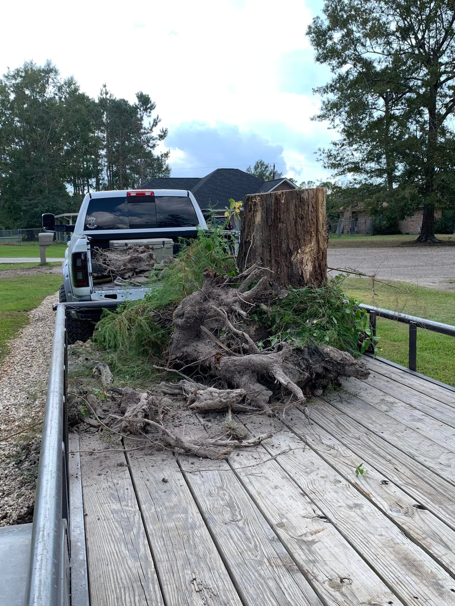 A truck and trailer loaded with brush, roots, and a tree stump on a wooden trailer bed in a residential yard on a cloudy day.