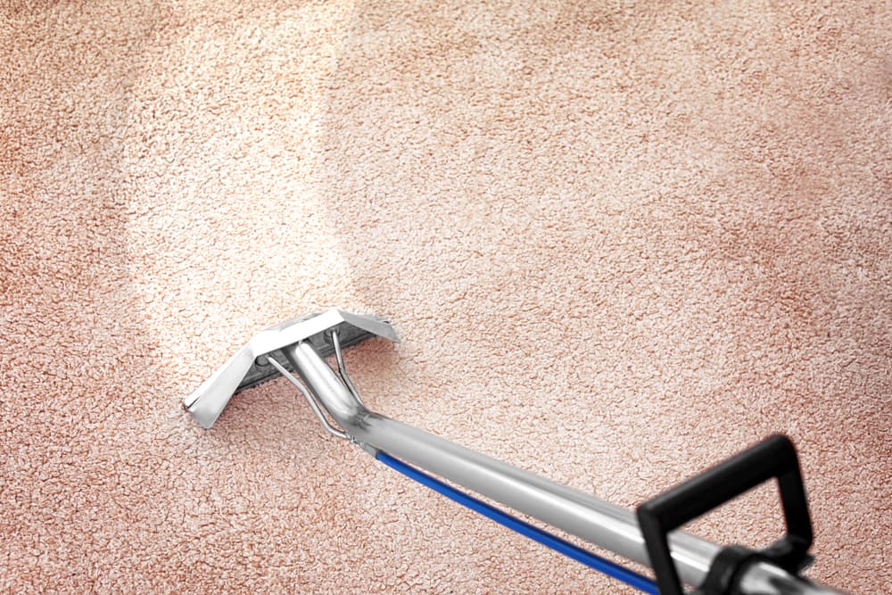 Steam Cleaning Carpet — Carpet Cleaners in Shellharbour, NSW